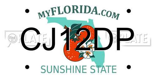 CJ12DP Florida License Plate