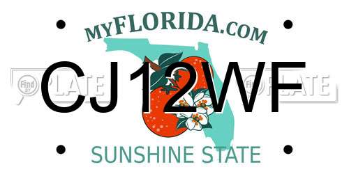 CJ12WF Florida License Plate