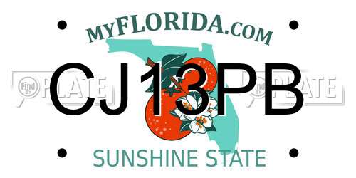 CJ13PB Florida License Plate