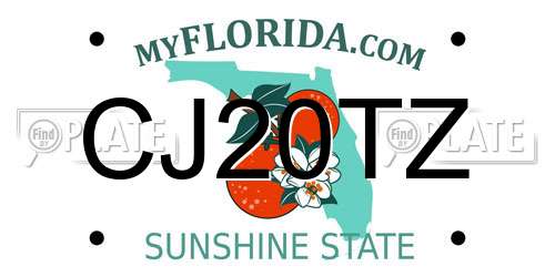 CJ20TZ Florida License Plate