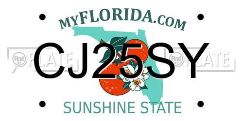 CJ25SY Florida License Plate