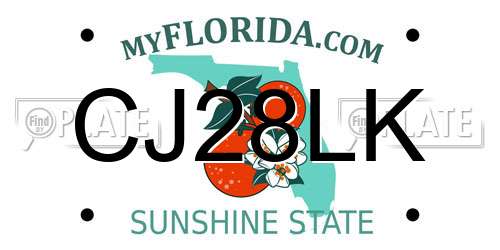 CJ28LK Florida License Plate