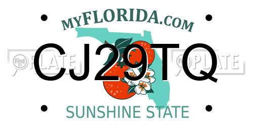 CJ29TQ Florida License Plate