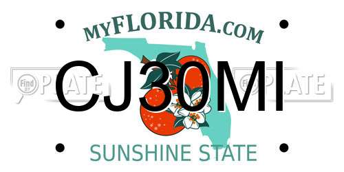 CJ30MI Florida License Plate