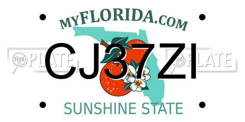 CJ37ZI Florida License Plate