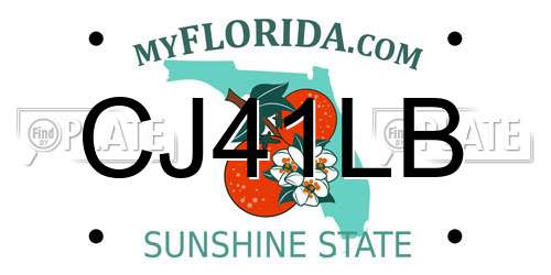 CJ41LB Florida License Plate