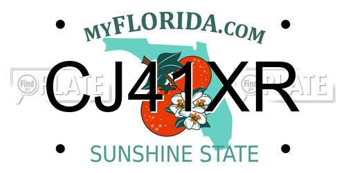 CJ41XR Florida License Plate