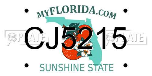 CJ5215 Florida License Plate