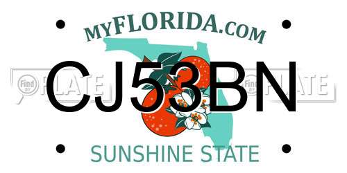 CJ53BN Florida License Plate