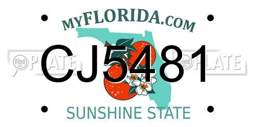 CJ5481 Florida License Plate