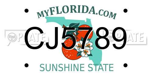 CJ5789 Florida License Plate