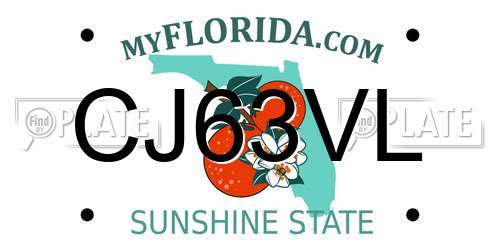 CJ63VL Florida License Plate