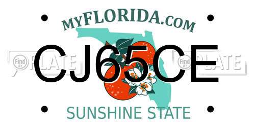 CJ65CE Florida License Plate