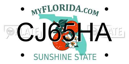 CJ65HA Florida License Plate