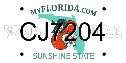 CJ7204 Florida License Plate