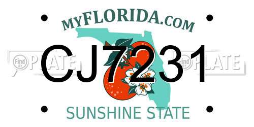 CJ7231 Florida License Plate