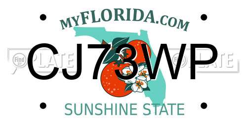 CJ73WP Florida License Plate