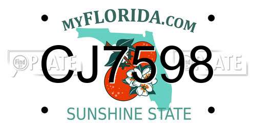 CJ7598 Florida License Plate
