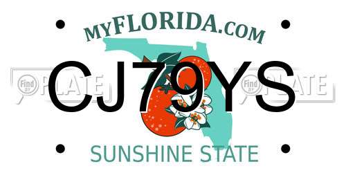 CJ79YS Florida License Plate