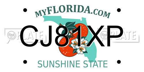 CJ81XP Florida License Plate