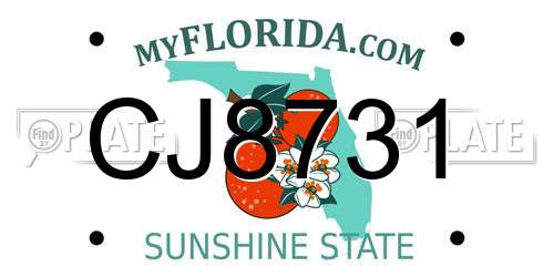 CJ8731 Florida License Plate
