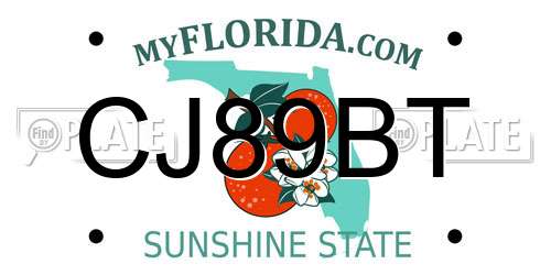 CJ89BT Florida License Plate
