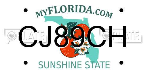 CJ89CH Florida License Plate