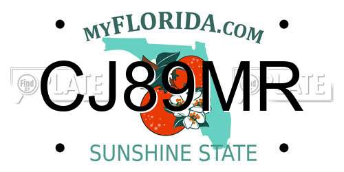 CJ89MR Florida License Plate