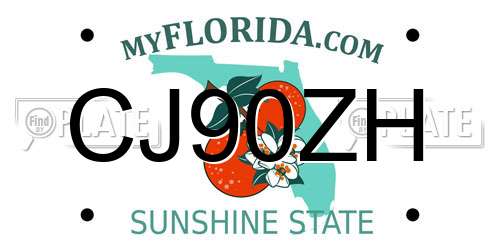 CJ90ZH Florida License Plate