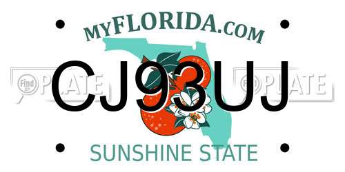 CJ93UJ Florida License Plate