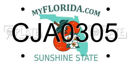 CJA0305 Florida License Plate