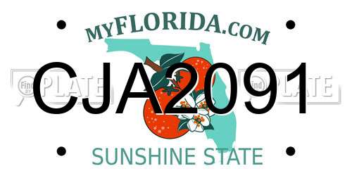 CJA2091 Florida License Plate