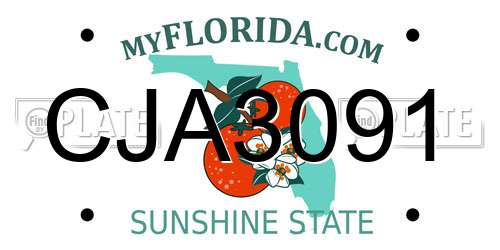 CJA3091 Florida License Plate