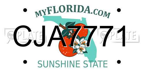 CJA7771 Florida License Plate