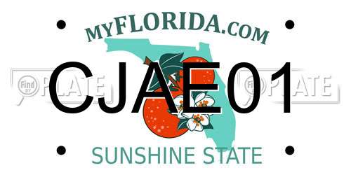CJAE01 Florida License Plate