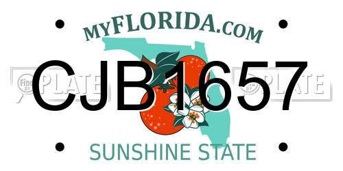 CJB1657 Florida License Plate