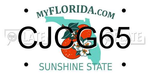 CJCG65 Florida License Plate