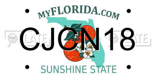 CJCN18 Florida License Plate