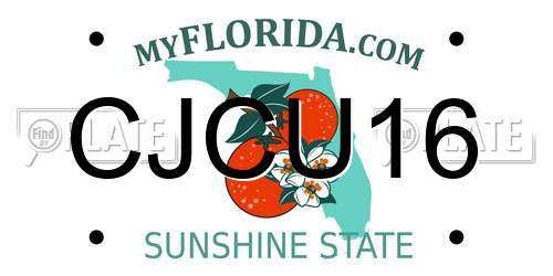 CJCU16 Florida License Plate