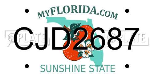 CJD2687 Florida License Plate