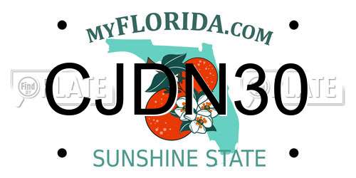CJDN30 Florida License Plate