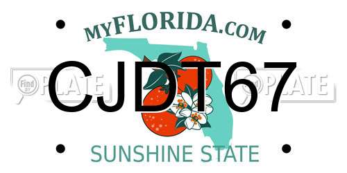 CJDT67 Florida License Plate
