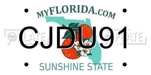 CJDU91 Florida License Plate