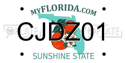 CJDZ01 Florida License Plate