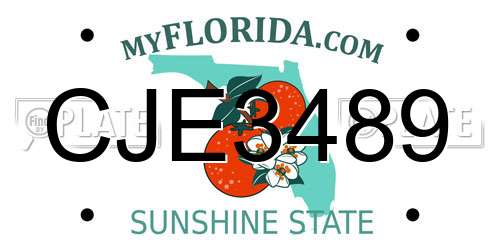 CJE3489 Florida License Plate