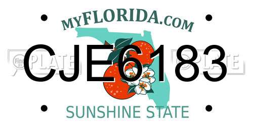 CJE6183 Florida License Plate