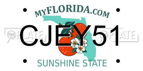 CJEY51 Florida License Plate