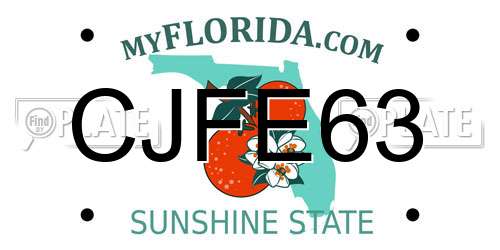 CJFE63 Florida License Plate