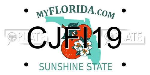 CJFI19 Florida License Plate