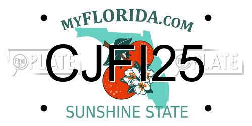 CJFI25 Florida License Plate